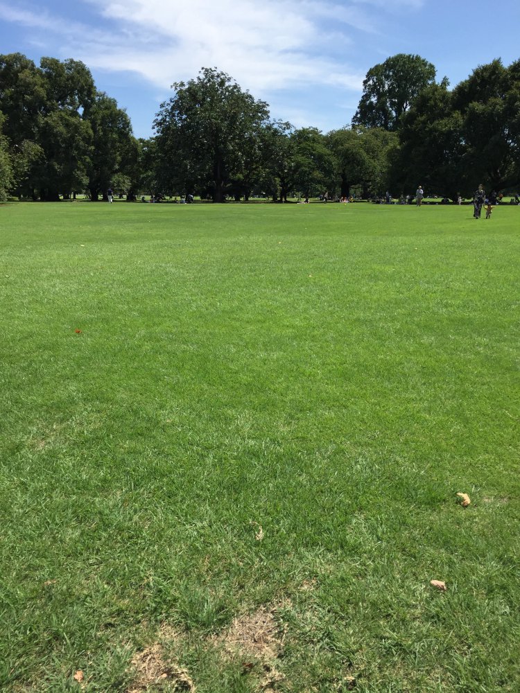 TEST2