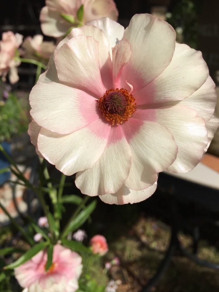 TEST4